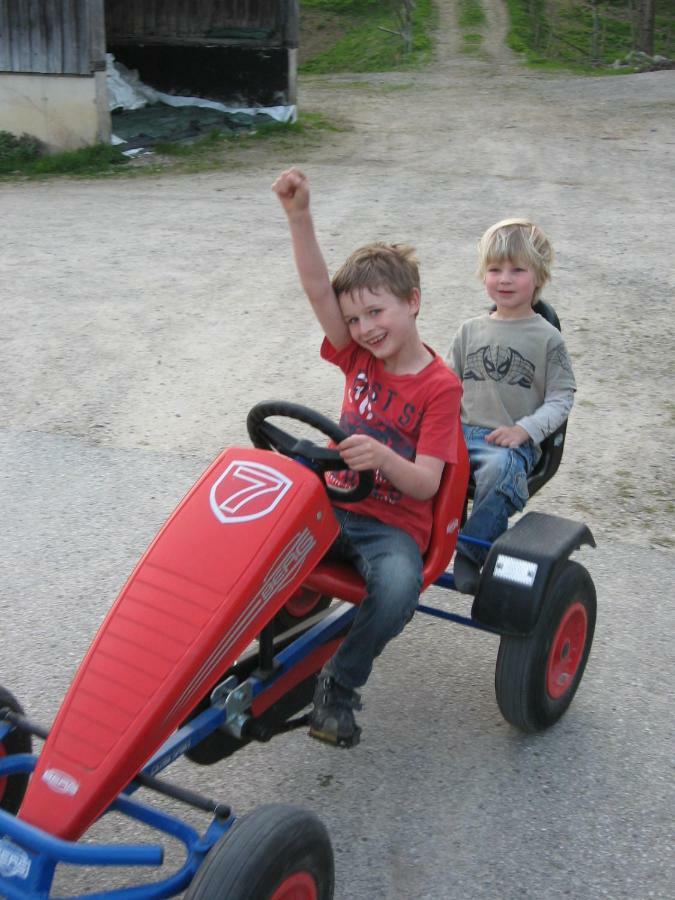 Appartamento Einkehrhof Poggau Reinsberg Esterno foto