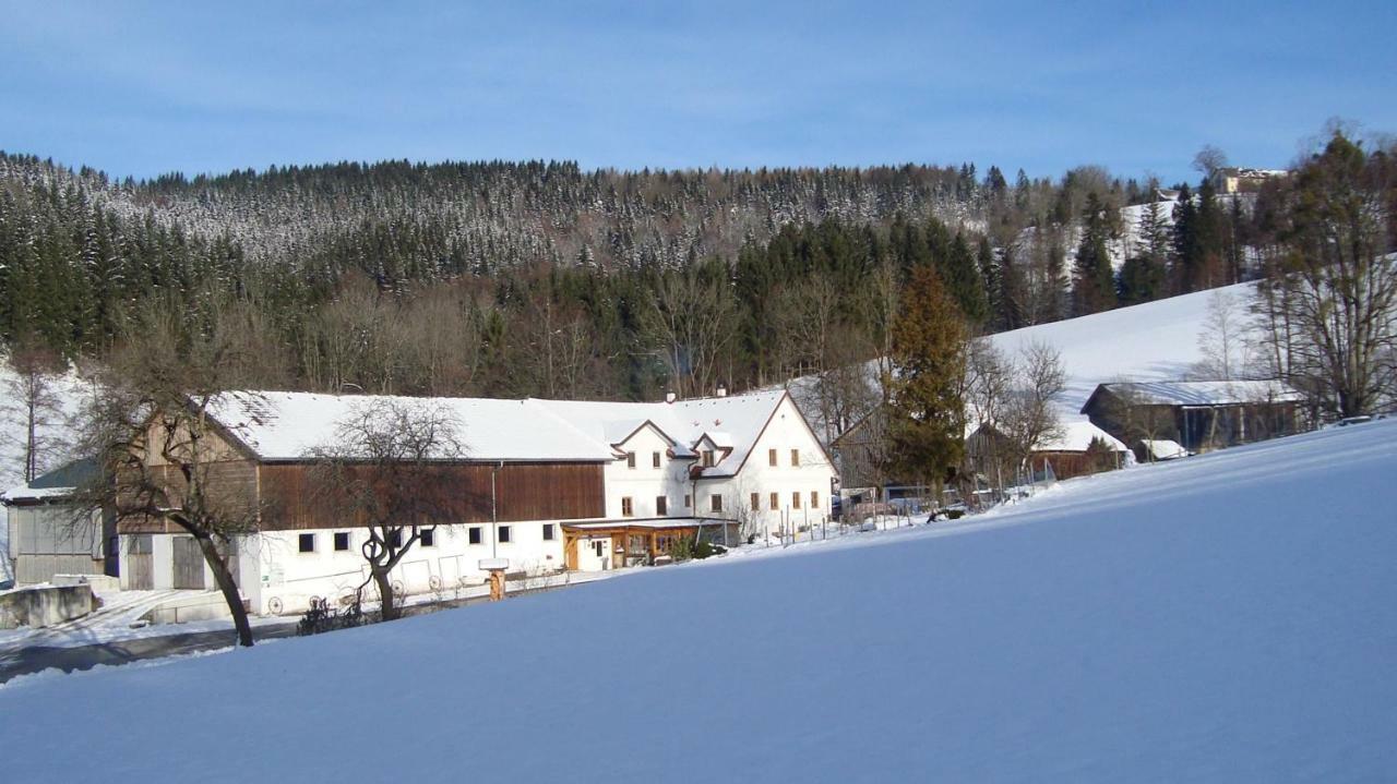Appartamento Einkehrhof Poggau Reinsberg Esterno foto