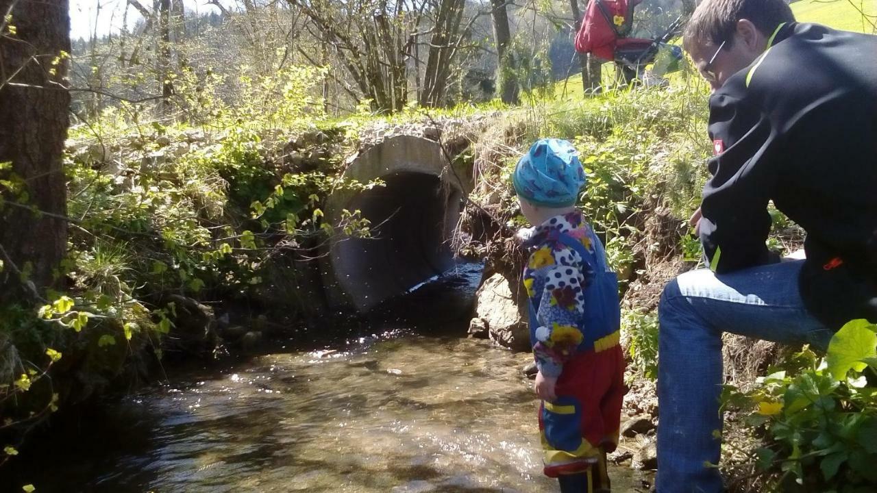 Appartamento Einkehrhof Poggau Reinsberg Esterno foto
