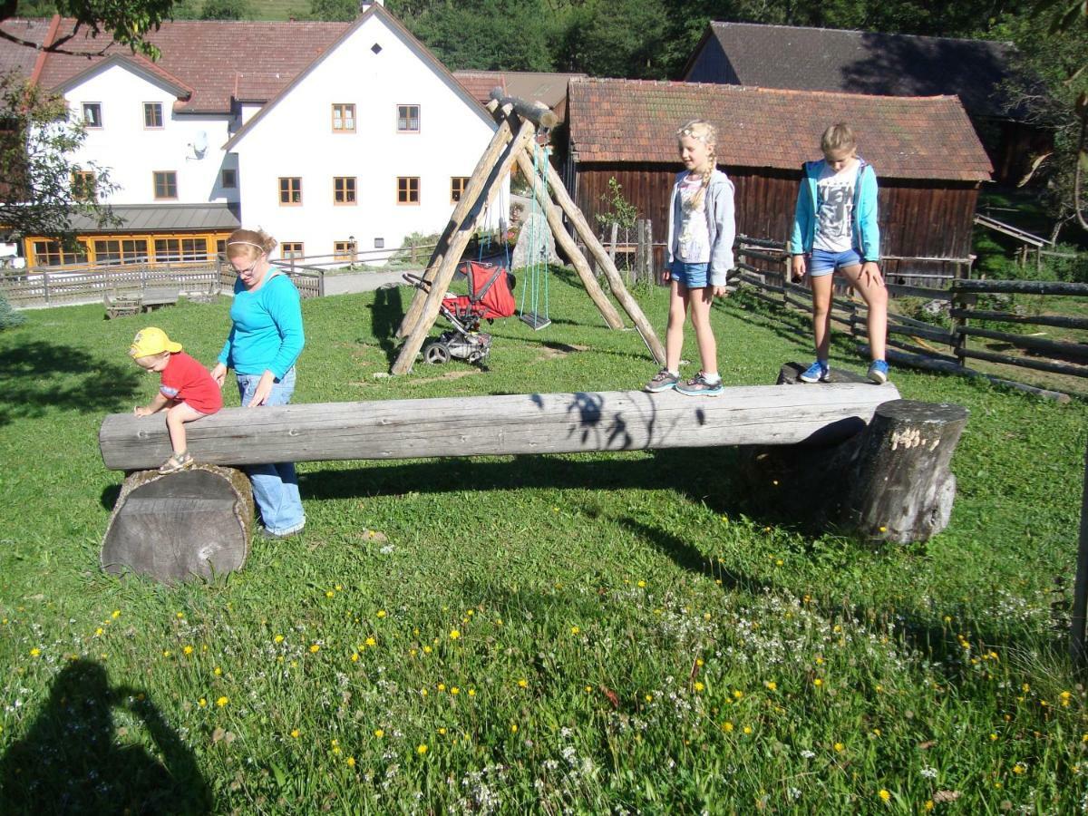 Appartamento Einkehrhof Poggau Reinsberg Esterno foto
