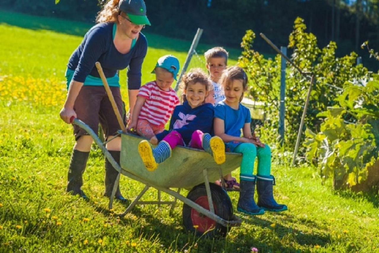 Appartamento Einkehrhof Poggau Reinsberg Esterno foto