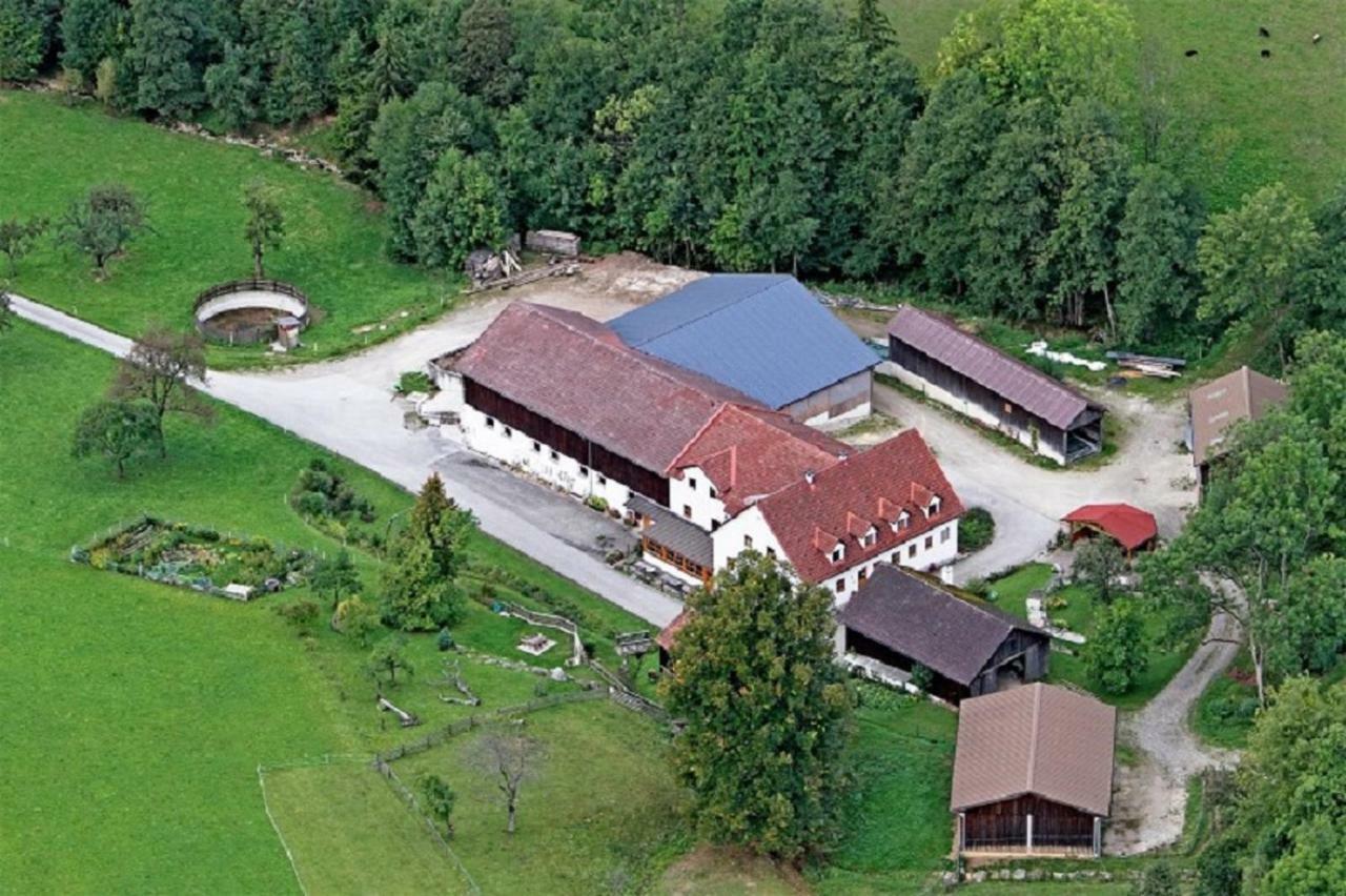 Appartamento Einkehrhof Poggau Reinsberg Esterno foto